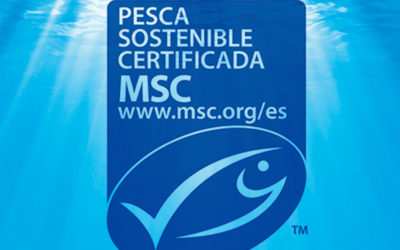 Seafreeze Limited, Grupo Profand’s subsidiary, received the MSC certification of sustainable fishing